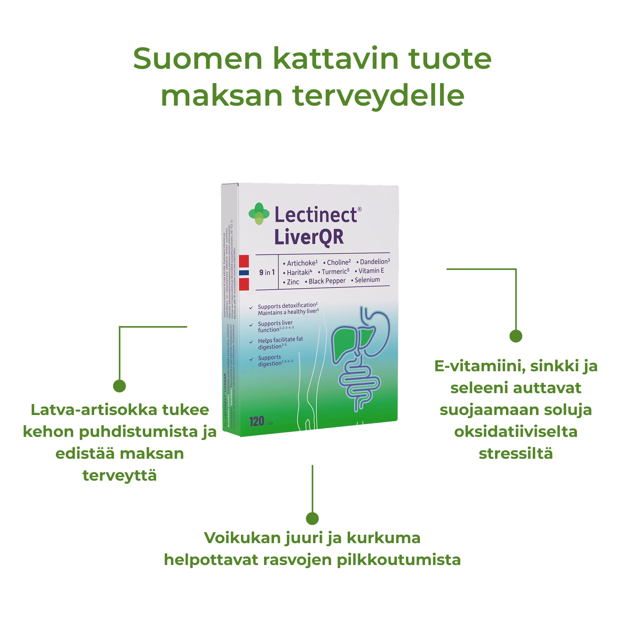 3_FI_Benefits_Lectinect LiverQR (1).png