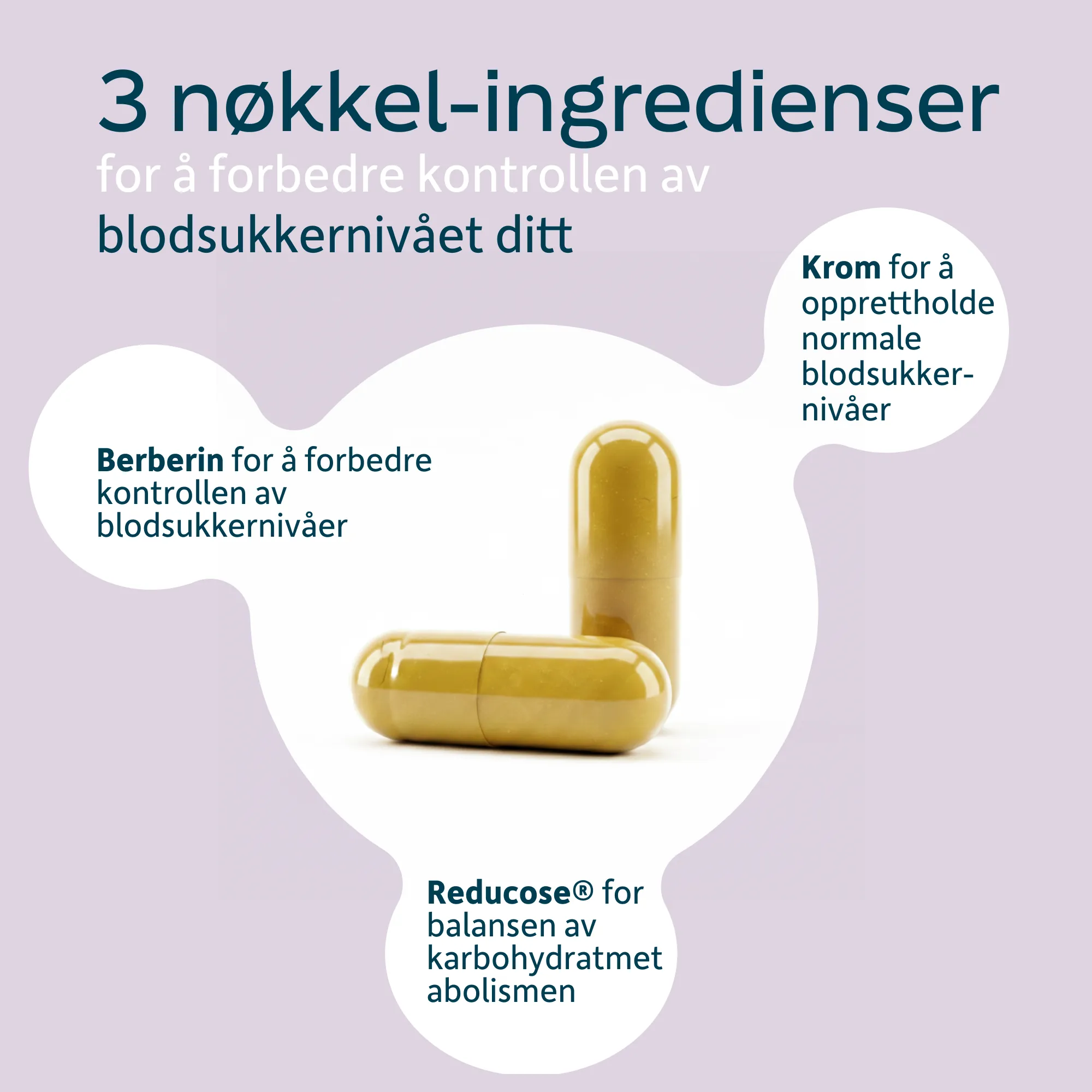 Glucorol_PRO_NO_04.png