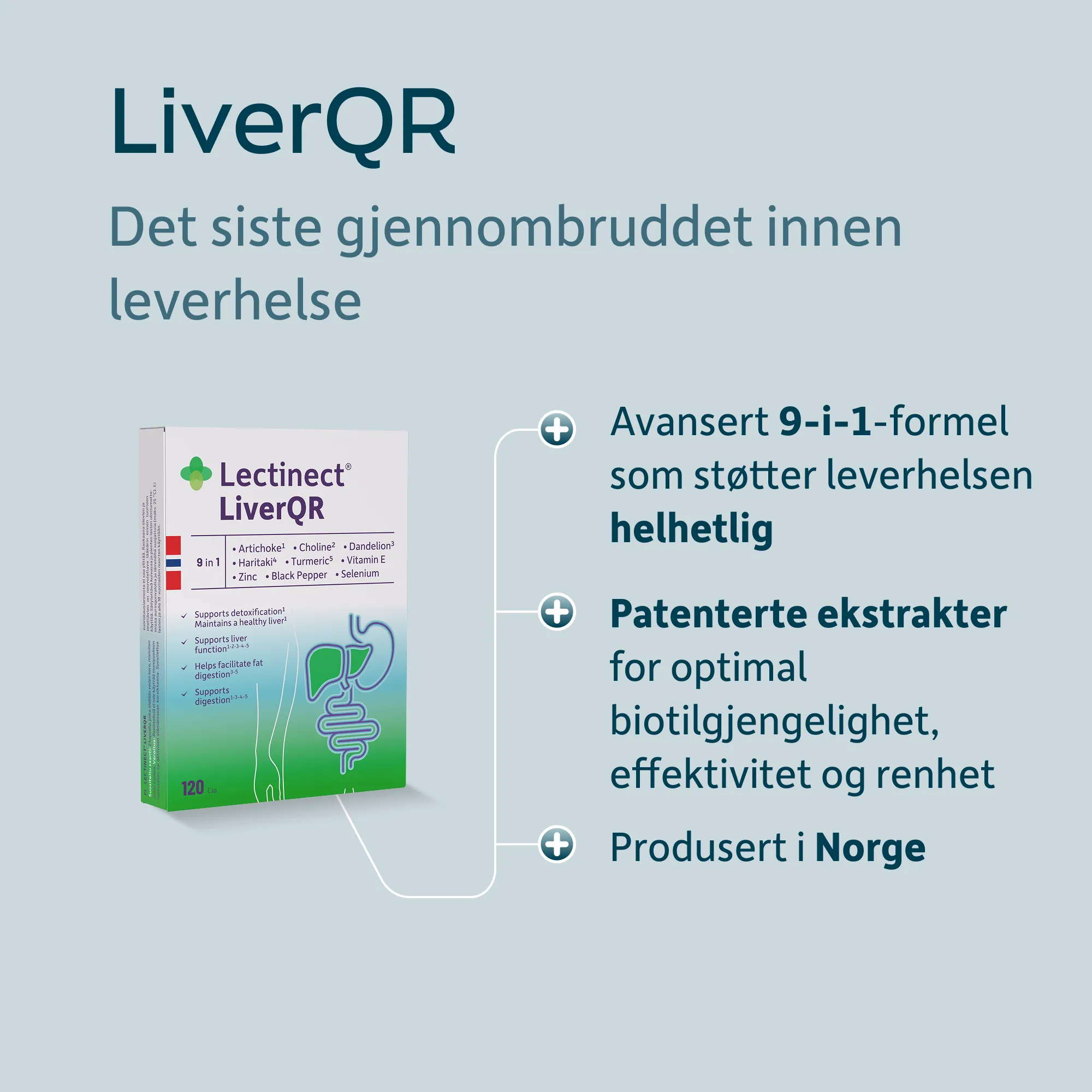 LiverQR_NO_03.png