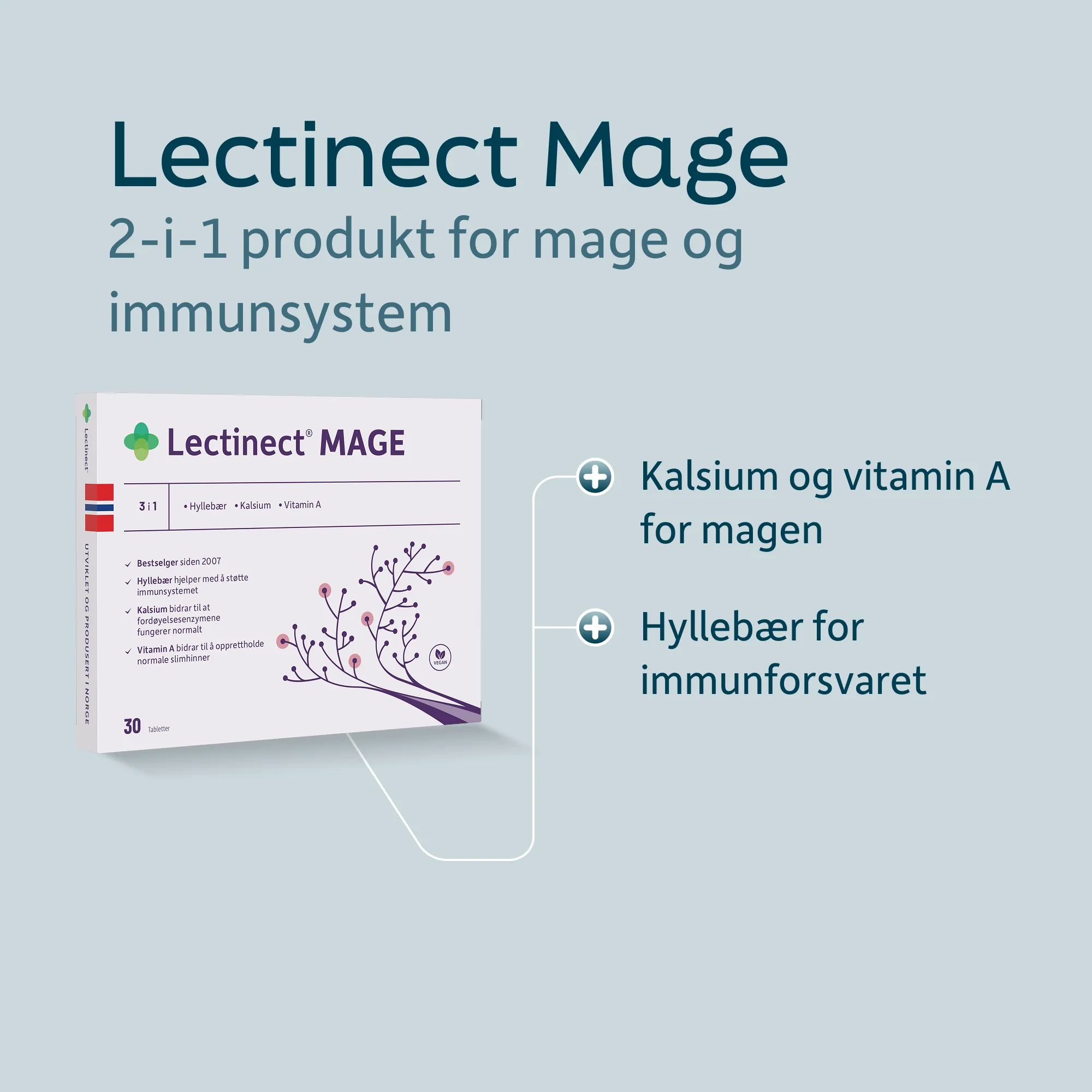 Lectinect_Mage_NO_03.png
