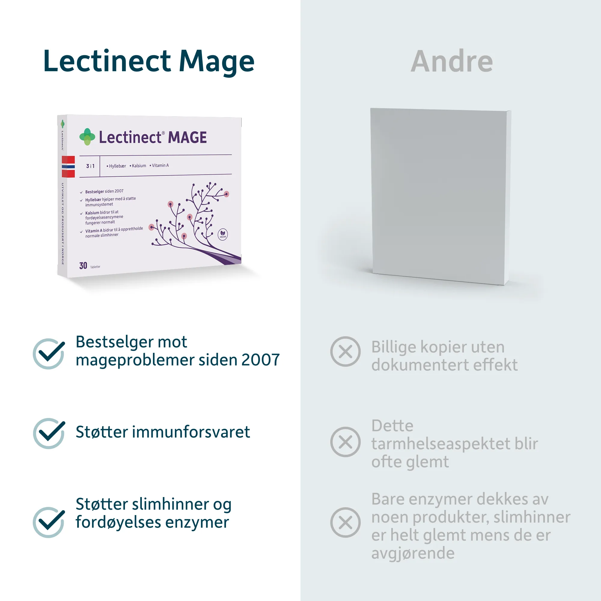 Lectinect_Mage_NO_05.png