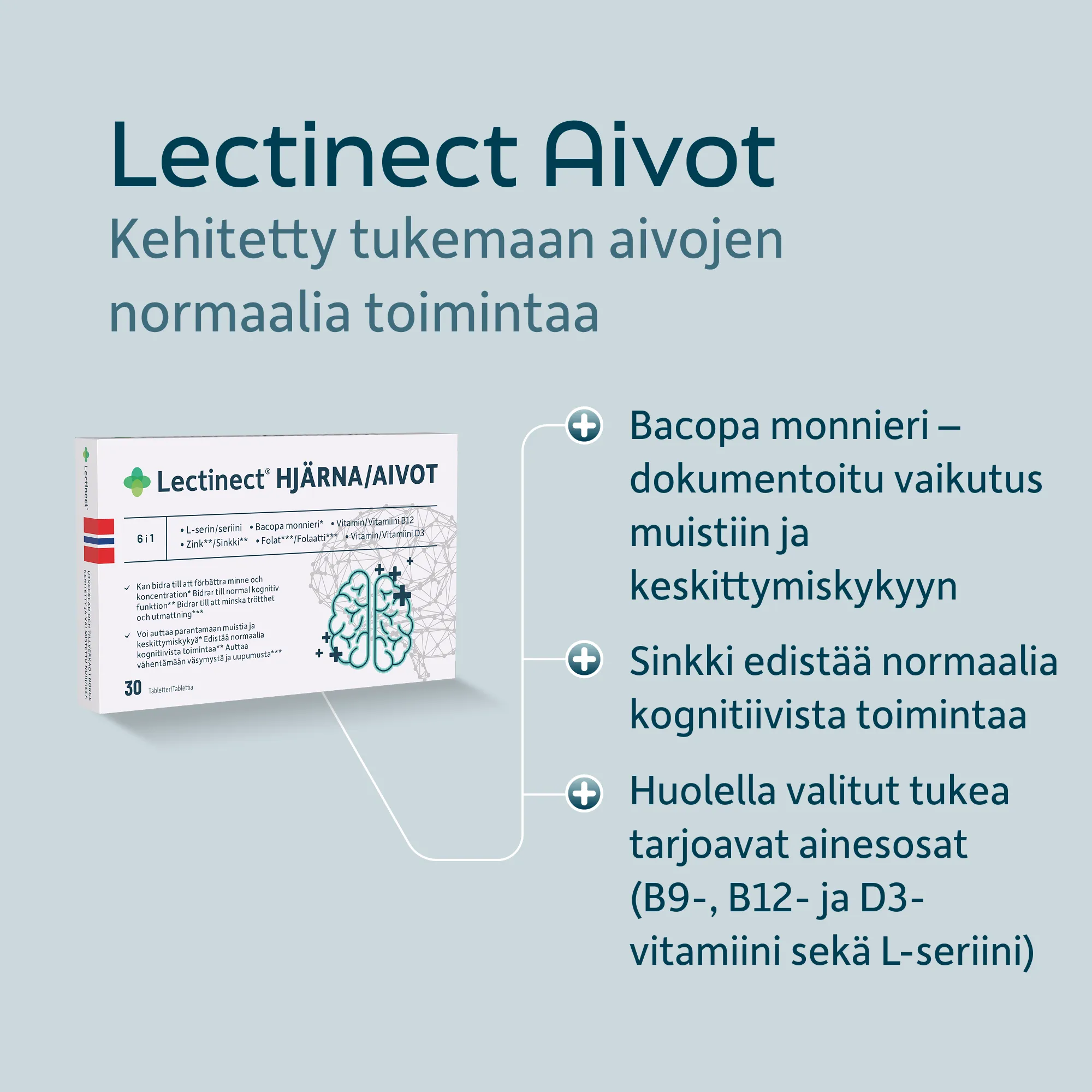 Hjerne_FI_03.png