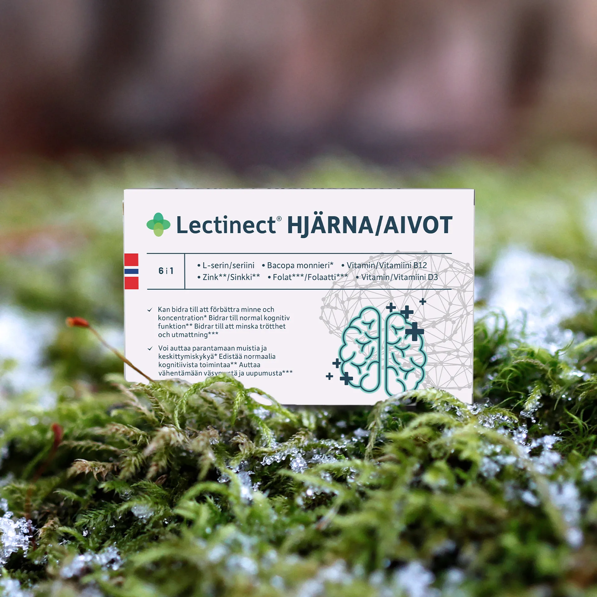 Lectinect Aivot