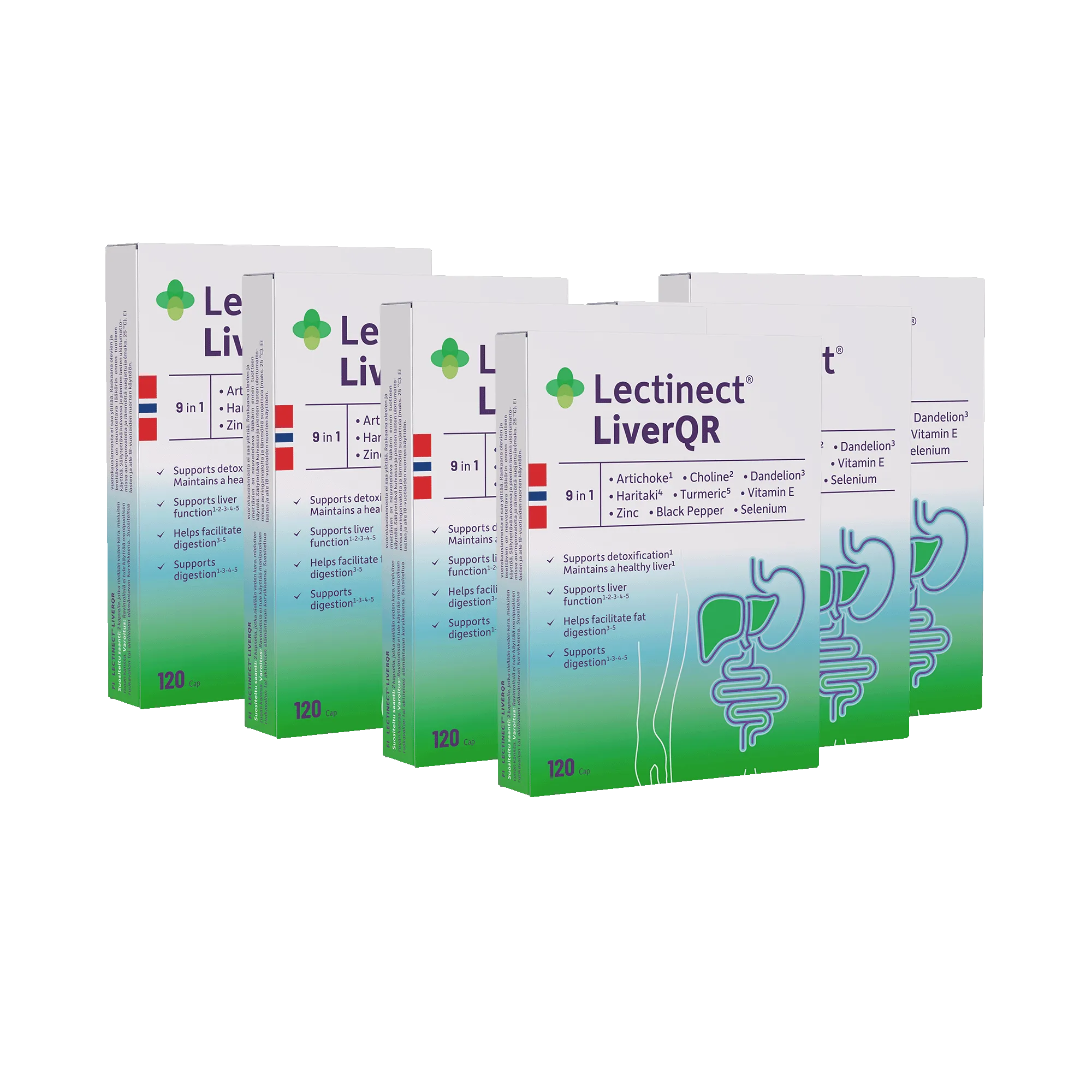Lectinect LiverQR - qty 6